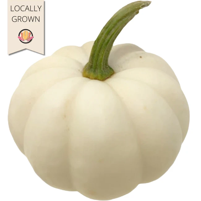 Pumpkins BabyBoos raabs(cs)