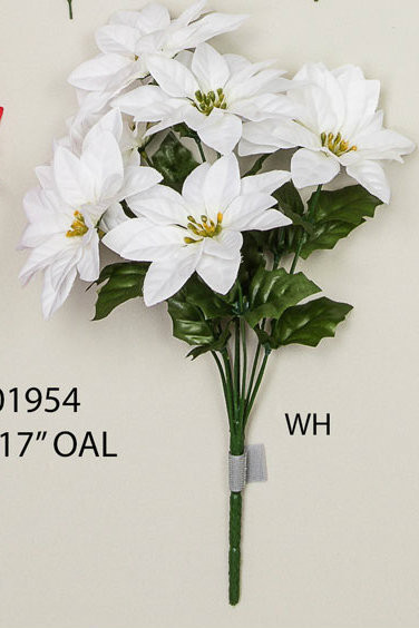 Poinsettia Bush white x8 each
