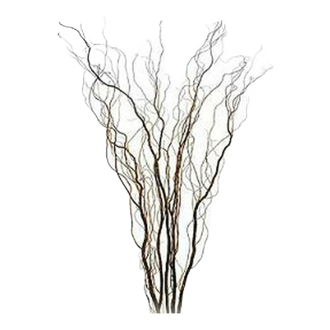Curly Willow Medium hiawatha