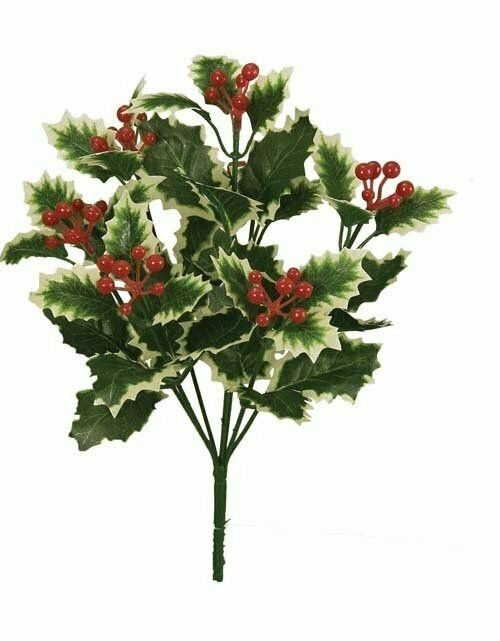 Holly Varigated Bush x7 each 
