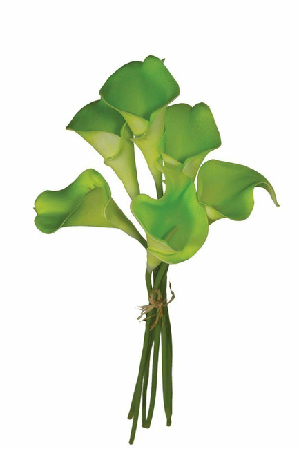 Calla Mini 12" Green 6pc/bu
