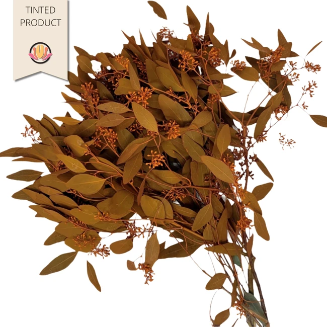 Eucalyptus Seeded Orange tutul