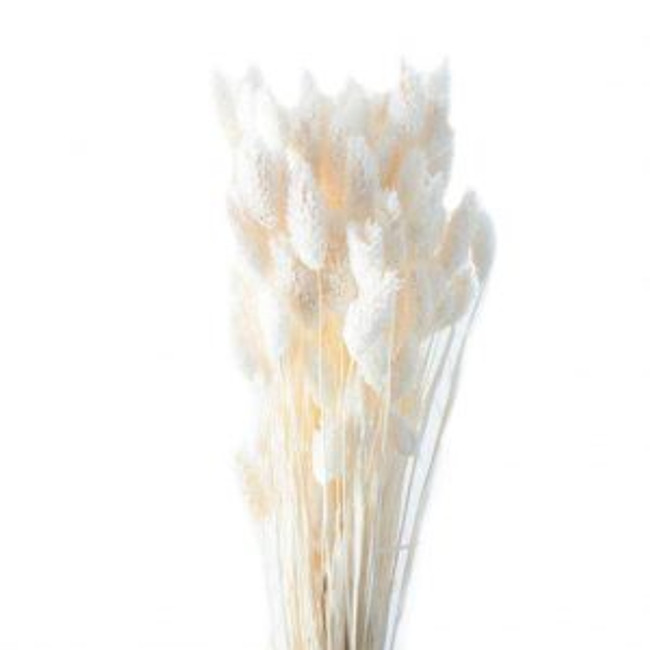 BUNNY TAILS Bleached 2oz