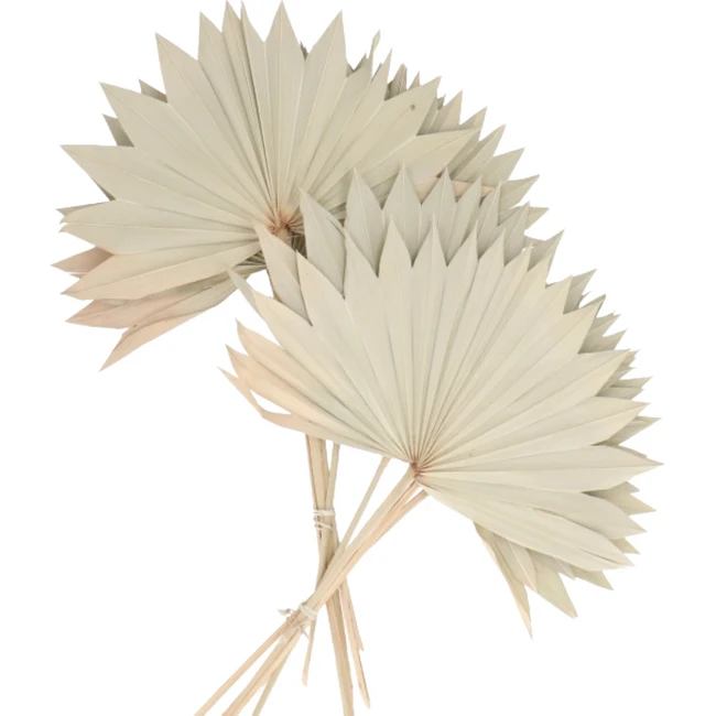 Palm Sun Natural holex large