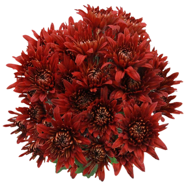 Pom Cushion Red Rock sole