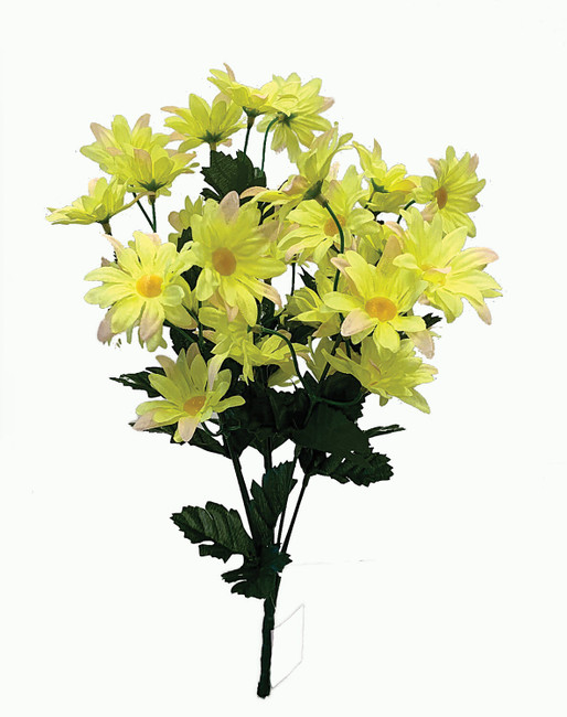 Daisy 16" yellow bush x7