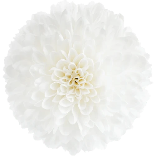 Mum Ball White sole(5st)