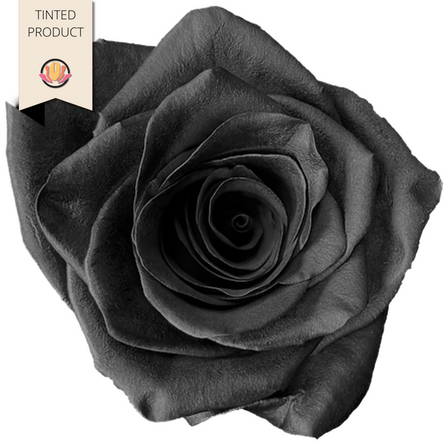 Rose Black 60cm florecal