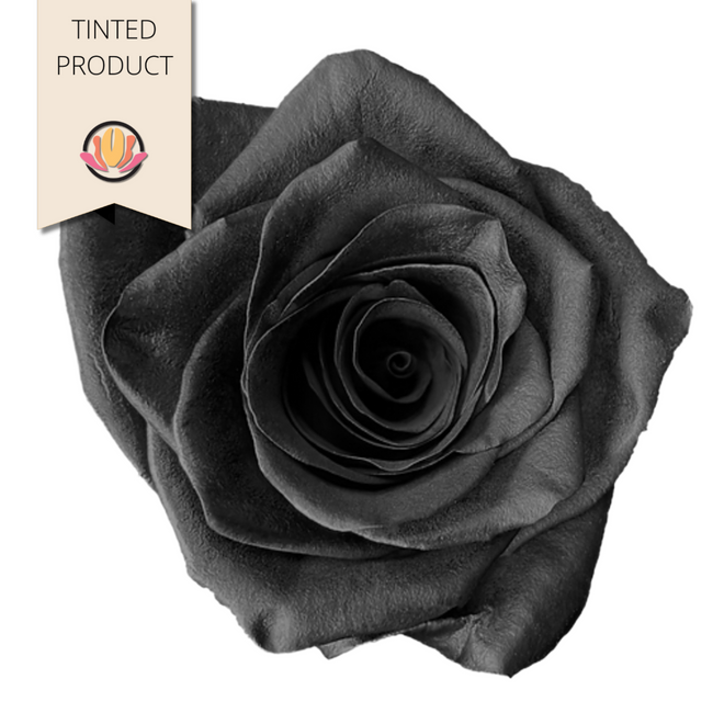 Rose Black 60cm florecal -