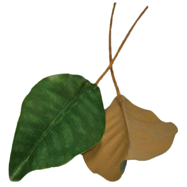 Magnolia 6" leaf on 6" pick