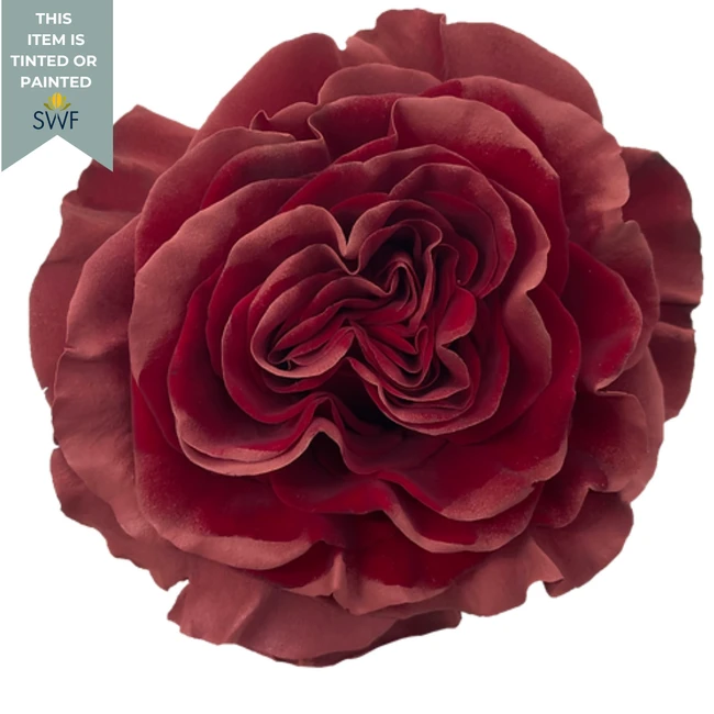 Rose Art in Brick 60cm floreca