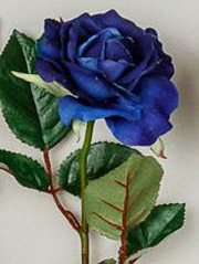 Rose Medium blue #1447BL 1dz