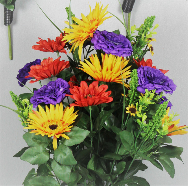 Gerbera/marigold/daisy fall bu