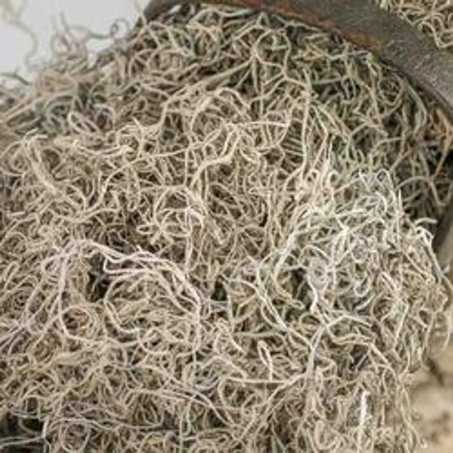 MOSS Spanish air-dried 10LB LE