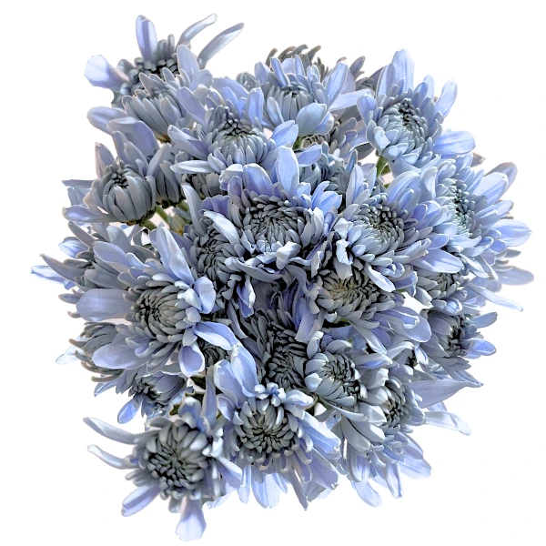 Pom Cushion Sapphire fresca