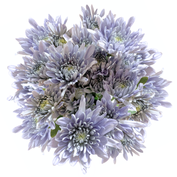 Pom Cushion Opal holex