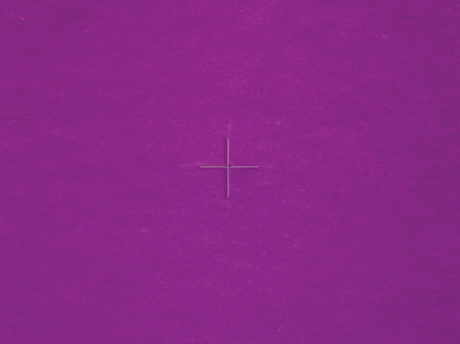 Essence non woven fabric 20"x2 - Q CELLO ENWF PURP