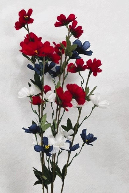 Cosmos 24.5" rd/wht/blu bush x