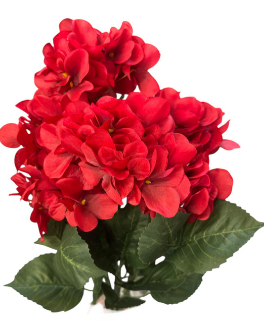 Hydrangea red bush x7