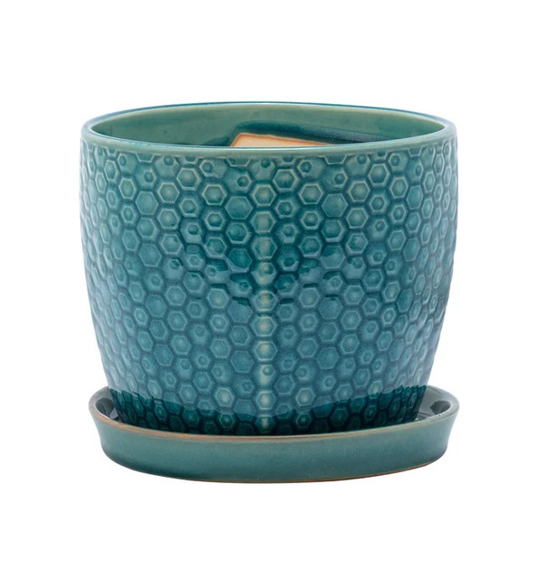 6" Sea Blue prism planter w/sa