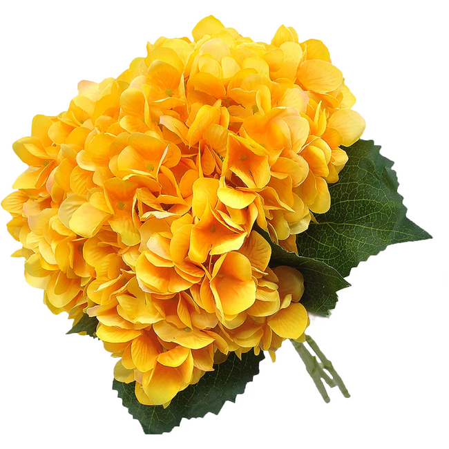 Hydrangea Yellow/Pink Cactus G