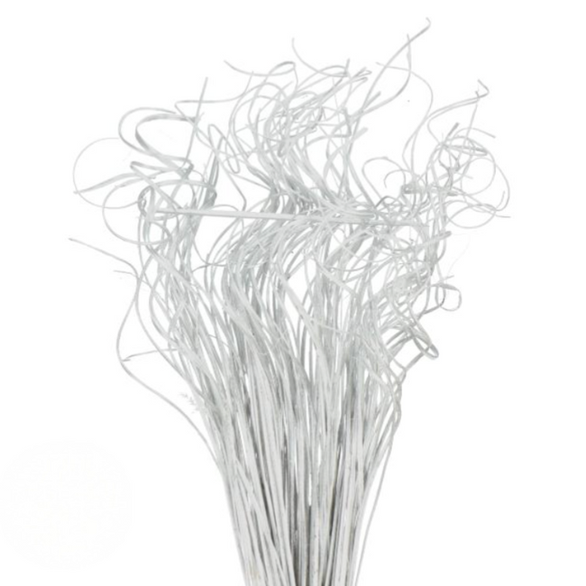 Dried Curly Ting Ting Silver h