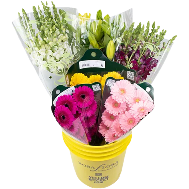 A O'Cmas Asst Flo Pail x6