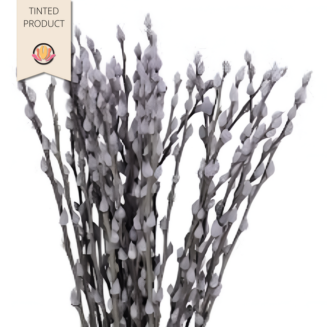 Pussy Willow Dyed Blue