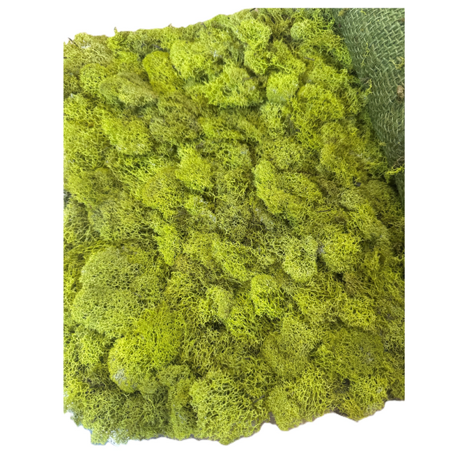 Moss reindeer runner 3'x3'