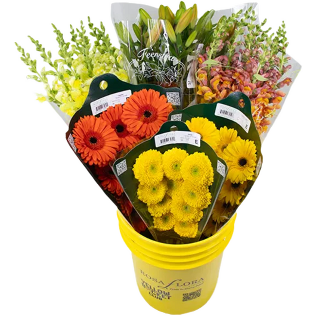A Bright Sunshine Pail x6 RF