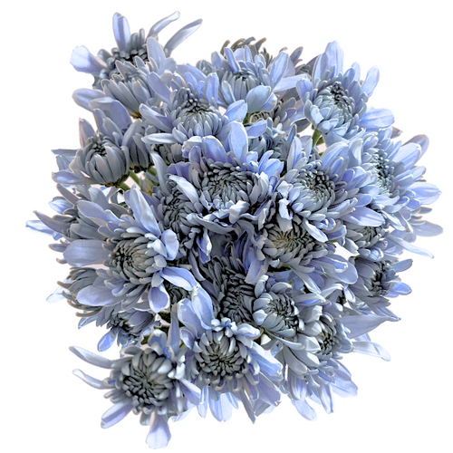Pom Cushion Blue Sapphire gall
