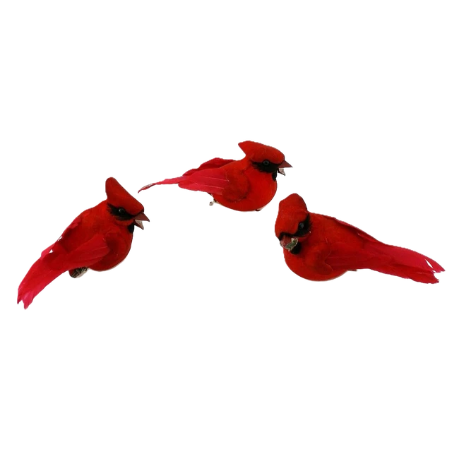 CARDINAL 3.75" mushroom/feathe