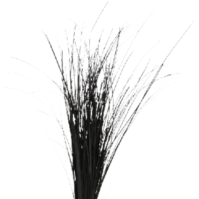 Bear Grass Black HOLL
