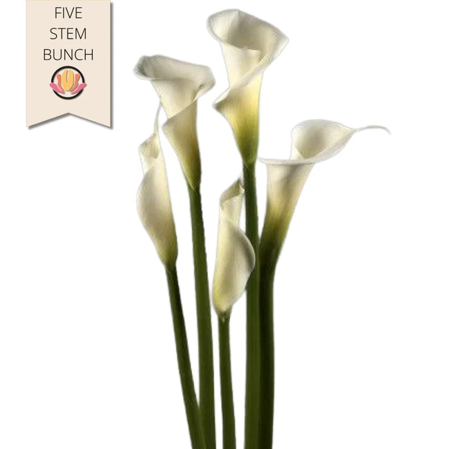 Calla Bouquet (5st) Cont.