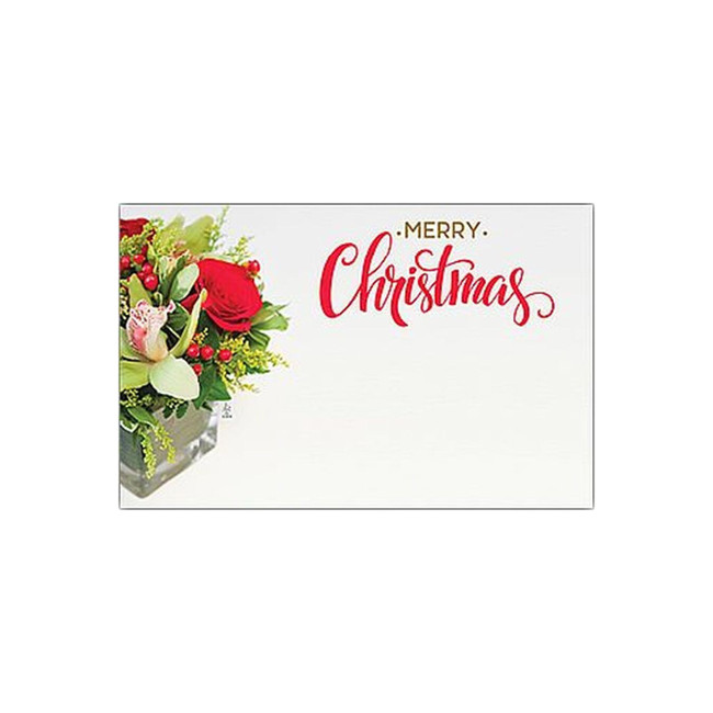 CARDS Merry Christmas 50pack 