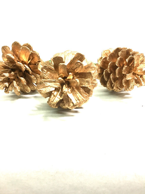 CONES Gold w/ pick 100/bx