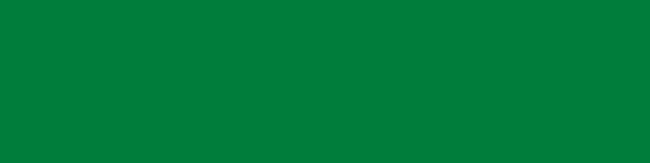 HOLIDAY GREEN (717)