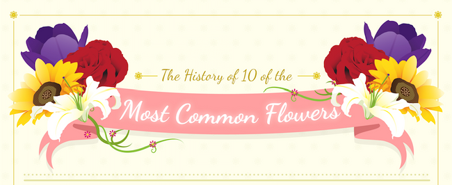 The History of 10 of the Most Common Flowers