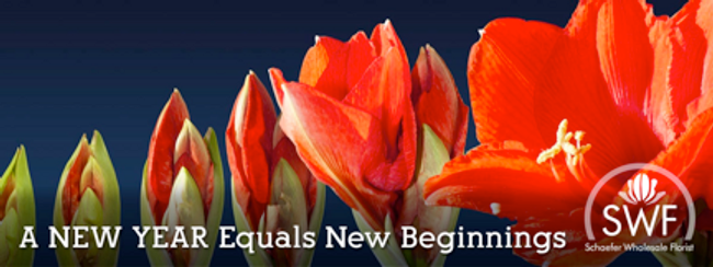 2015 – A Year In Review