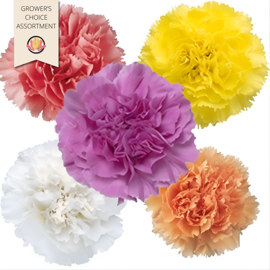 Carn Asst Easter Sel 175st BM