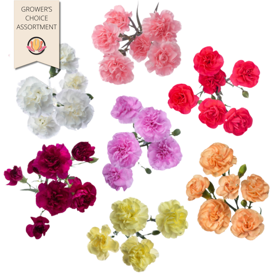 CarnMini Asst Easter Bmark x18