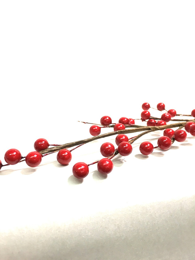 Spray Red Berry x35 Red 16" 1DZ