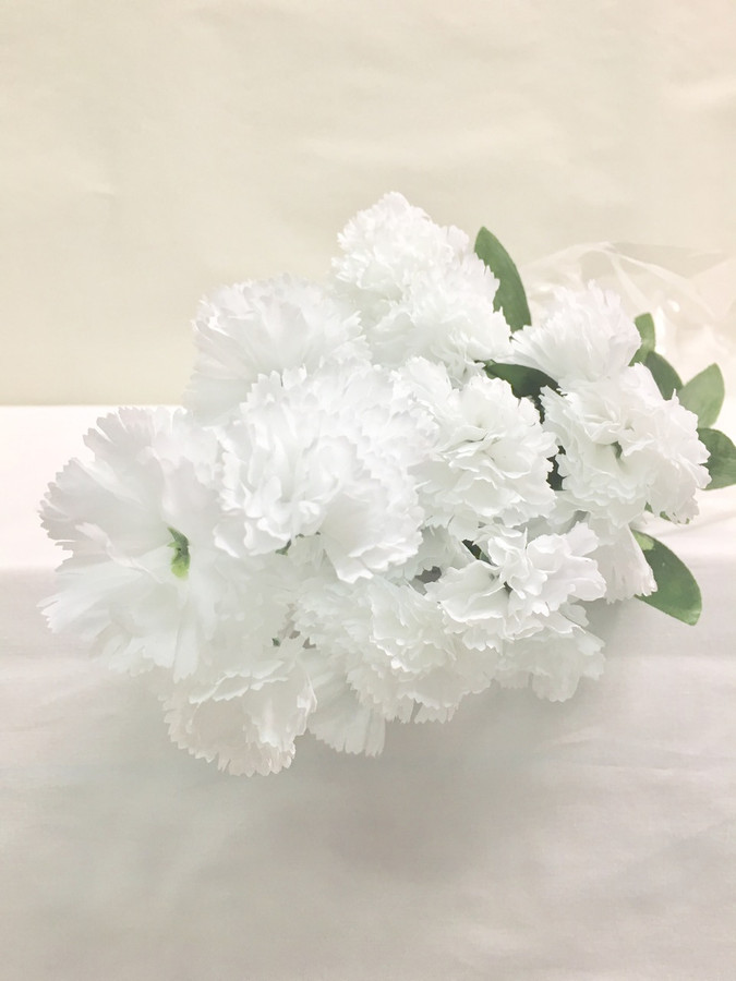 Carnation mini wht bush x12 ea