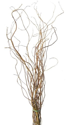 Curly Willow  3-4' seaberry(10st) 