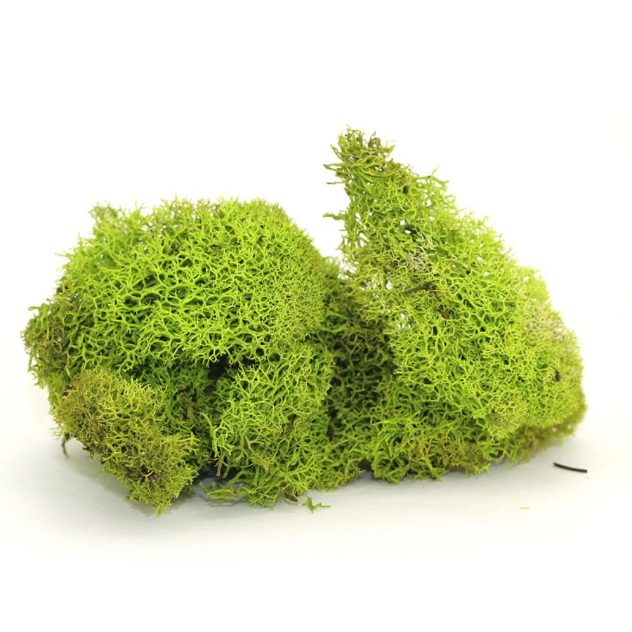 Moss reindeer chartreuse 4oz b