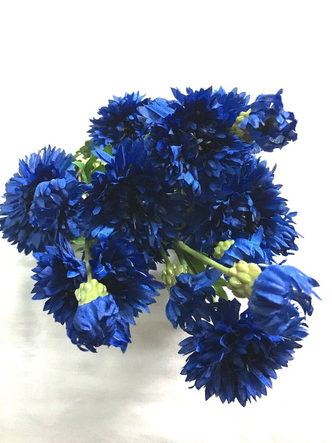 Cornflower bush x15 DK Blue bu