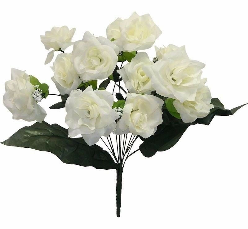 Rose open cream 19" stem dz/bx