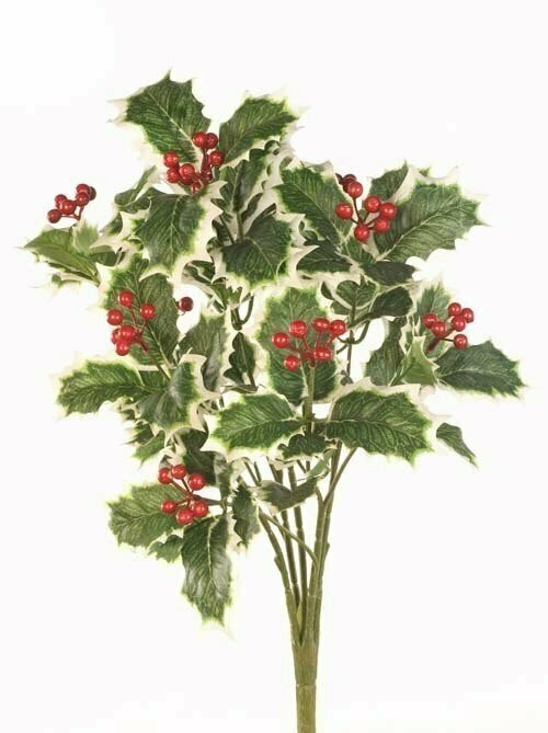Bush Holly 19" x11 ea CEX04400