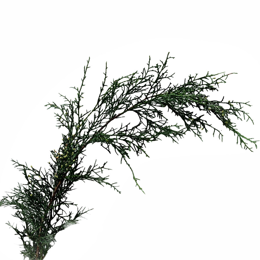 Carolina Sapphire Silver Shimmer puck