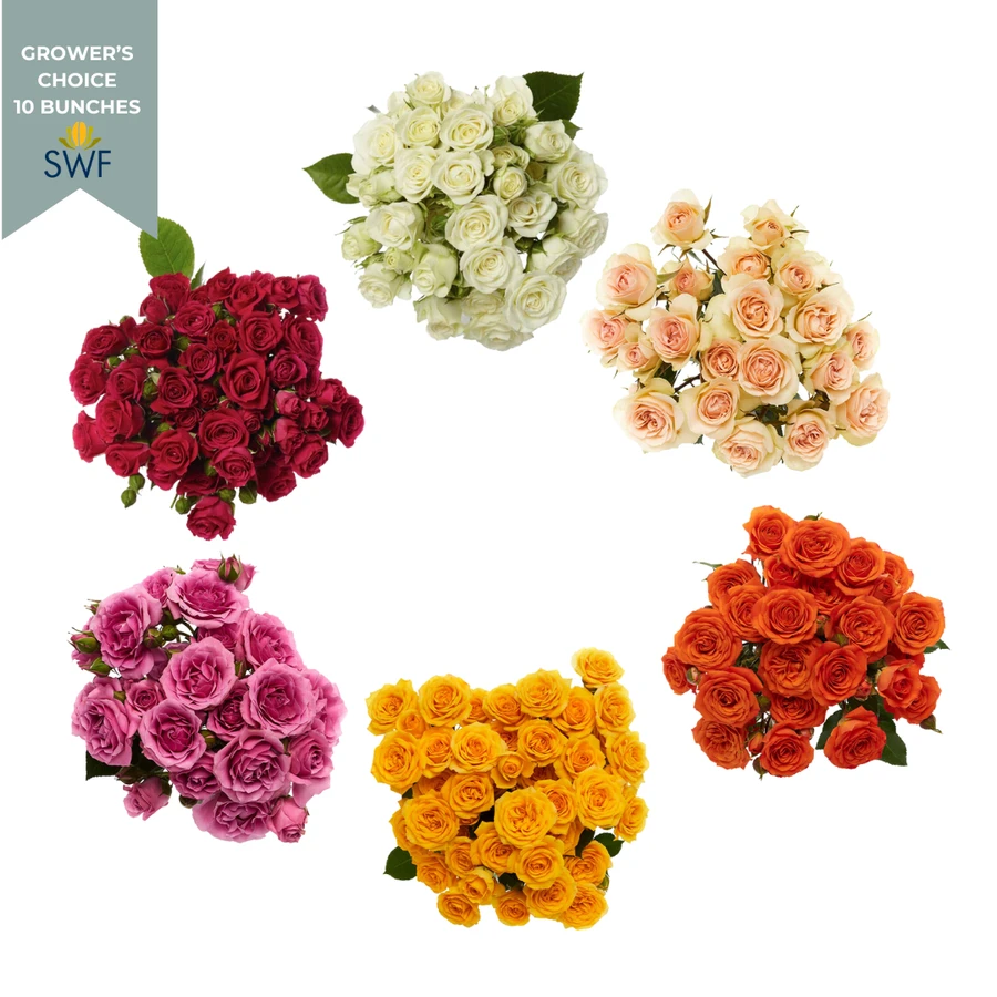 RoseSpray Asst(7cs) rfi